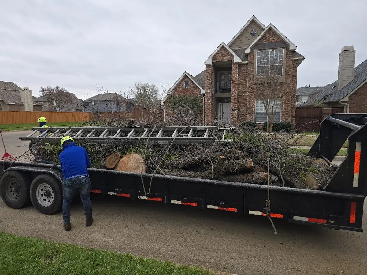 Expert Tree Fertilization with proper safety equipment in Garden Plain